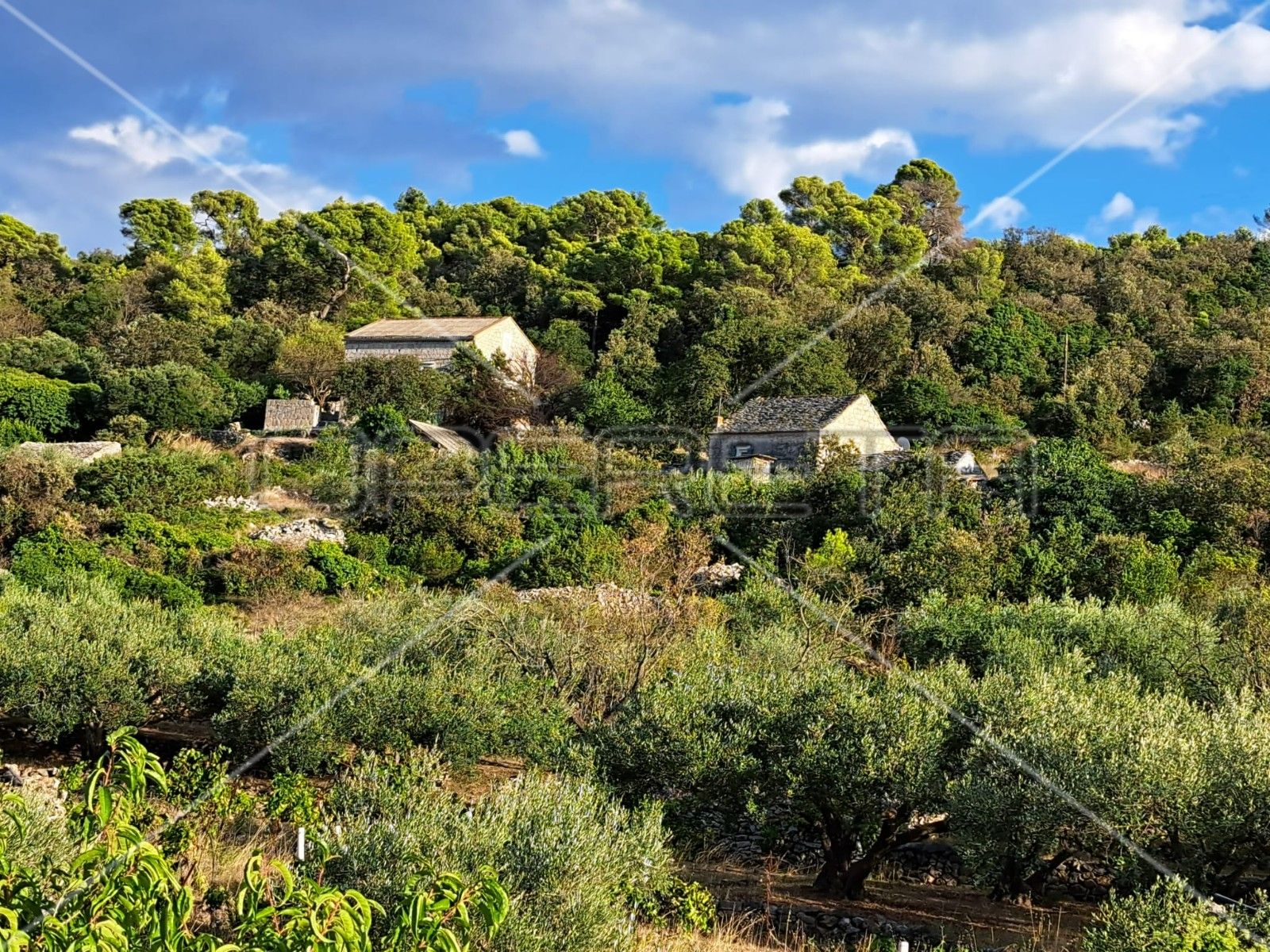 Land - Gornje Kunjanovo, Vis, Vis 5000m2