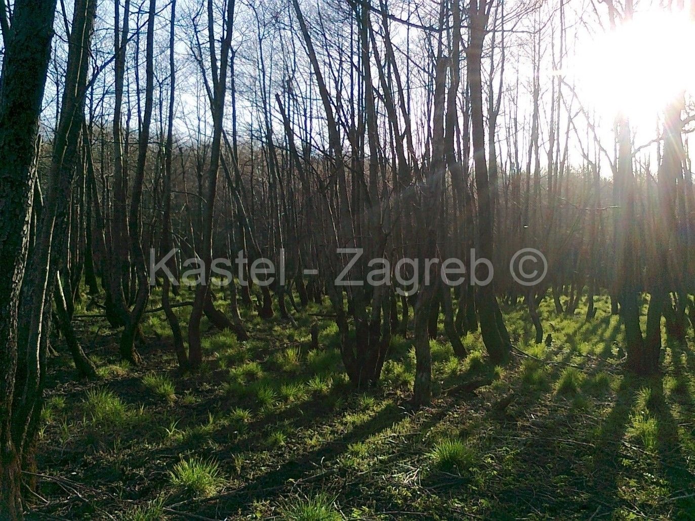 Zemljište - Fužine 34106m2