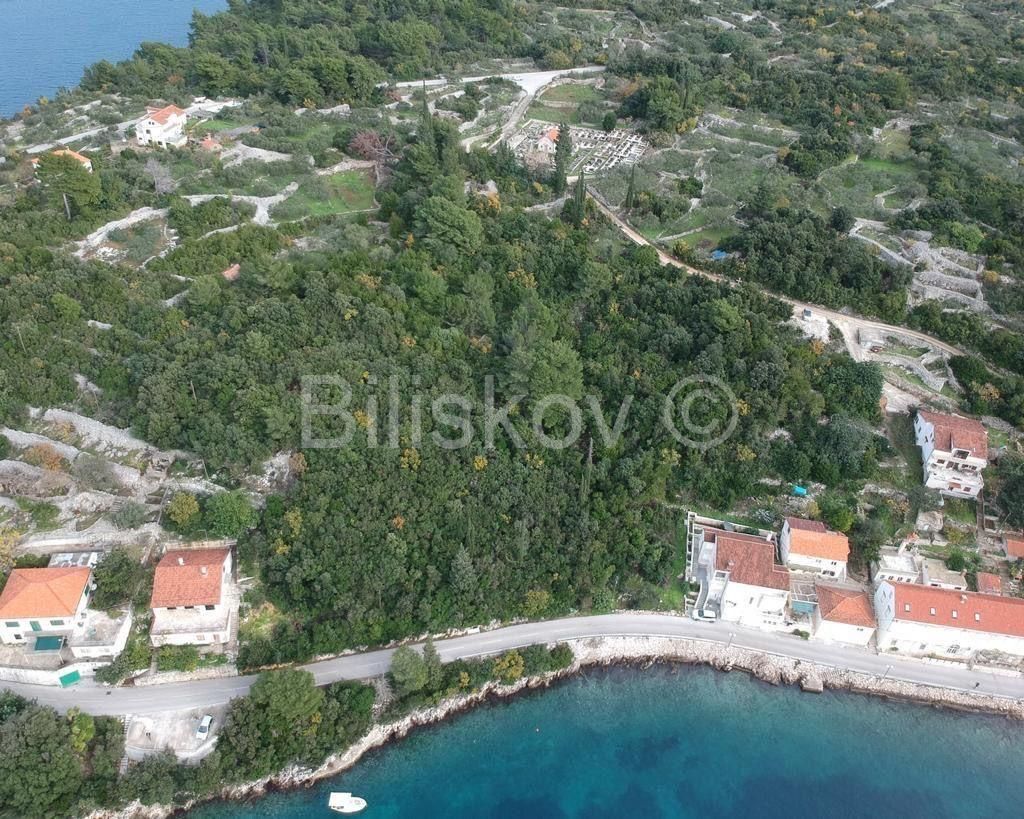 Land - Korčula 8800m2