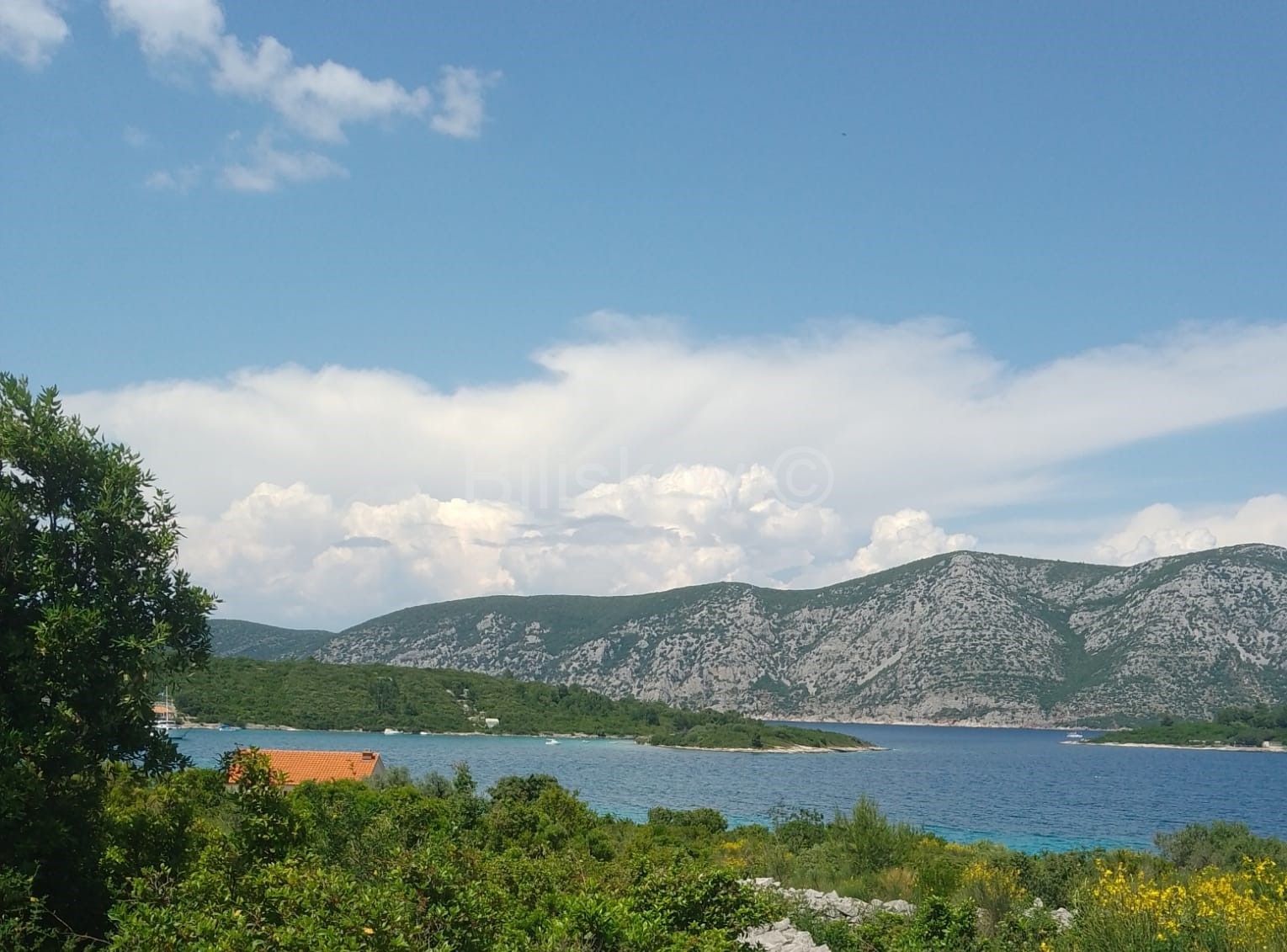 Land - Korčula 1607m2