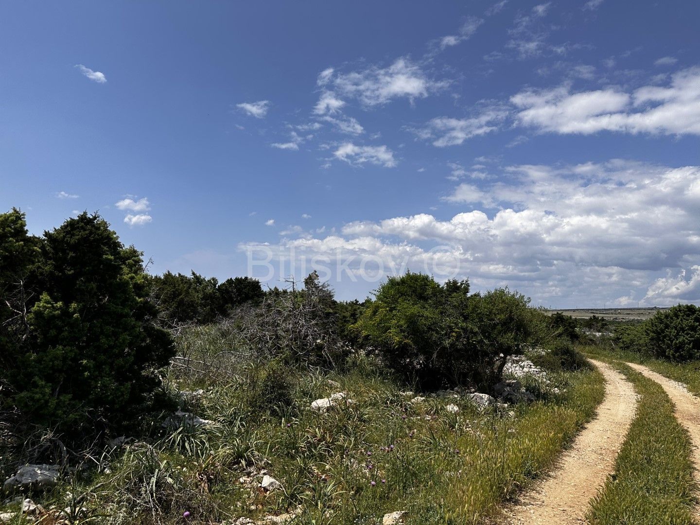 Zemljište - Pag 83000m2