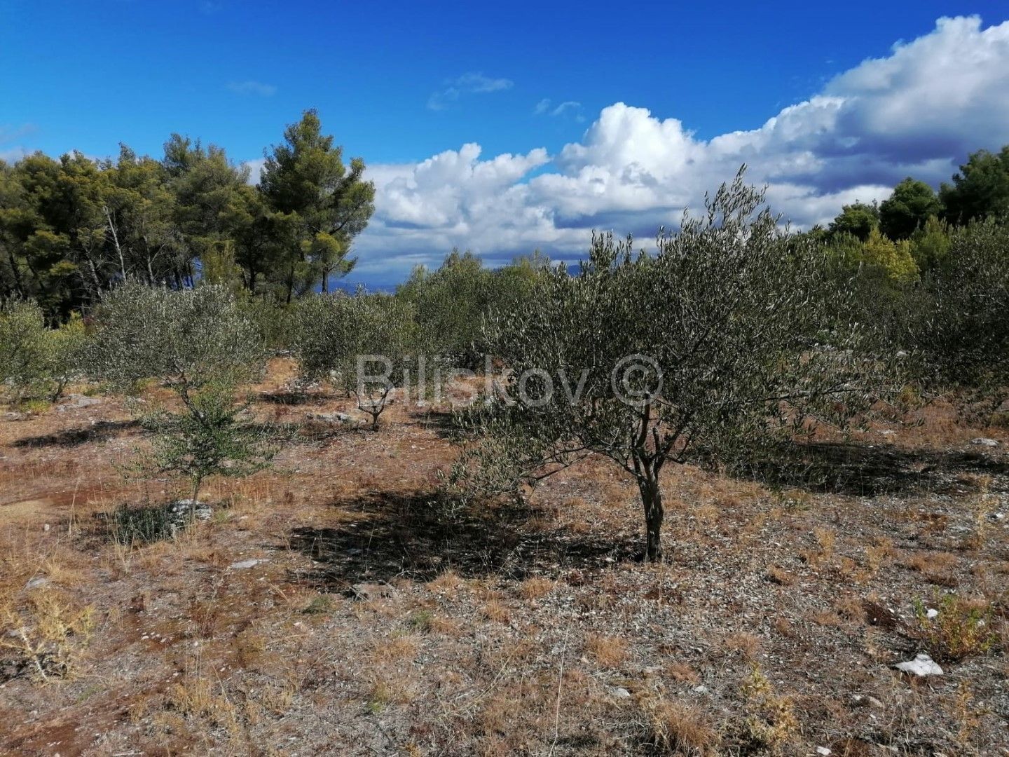 Land - Supetar 2694m2