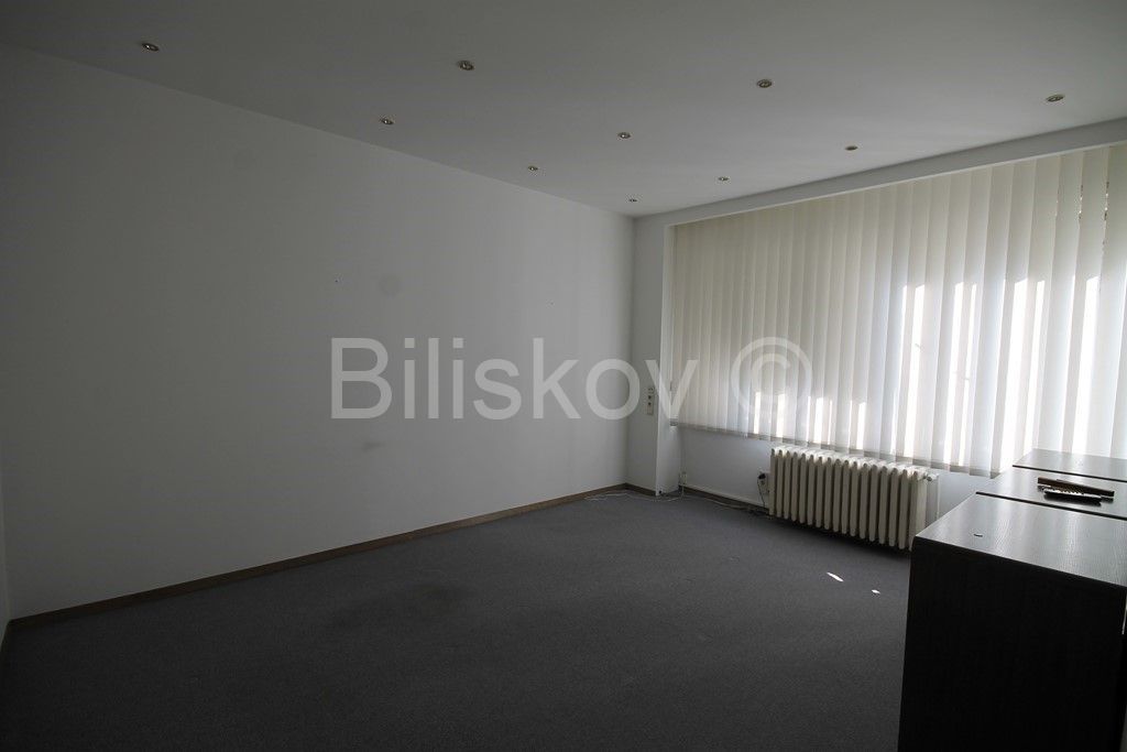 Commercial Space - Donji grad, Zagreb 110m2