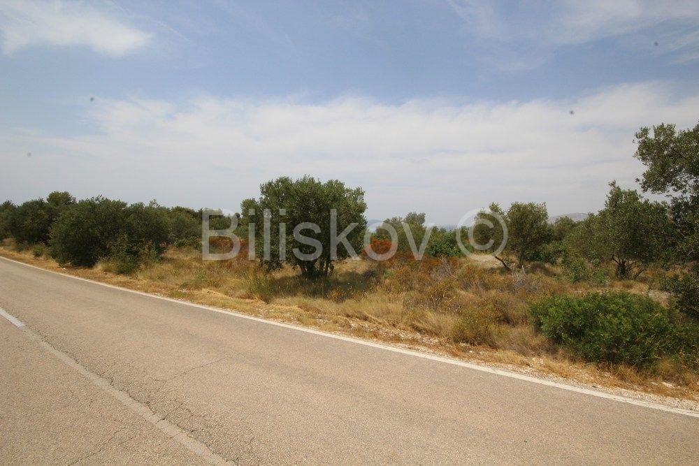 Land - Rasove, Okrug 23220m2