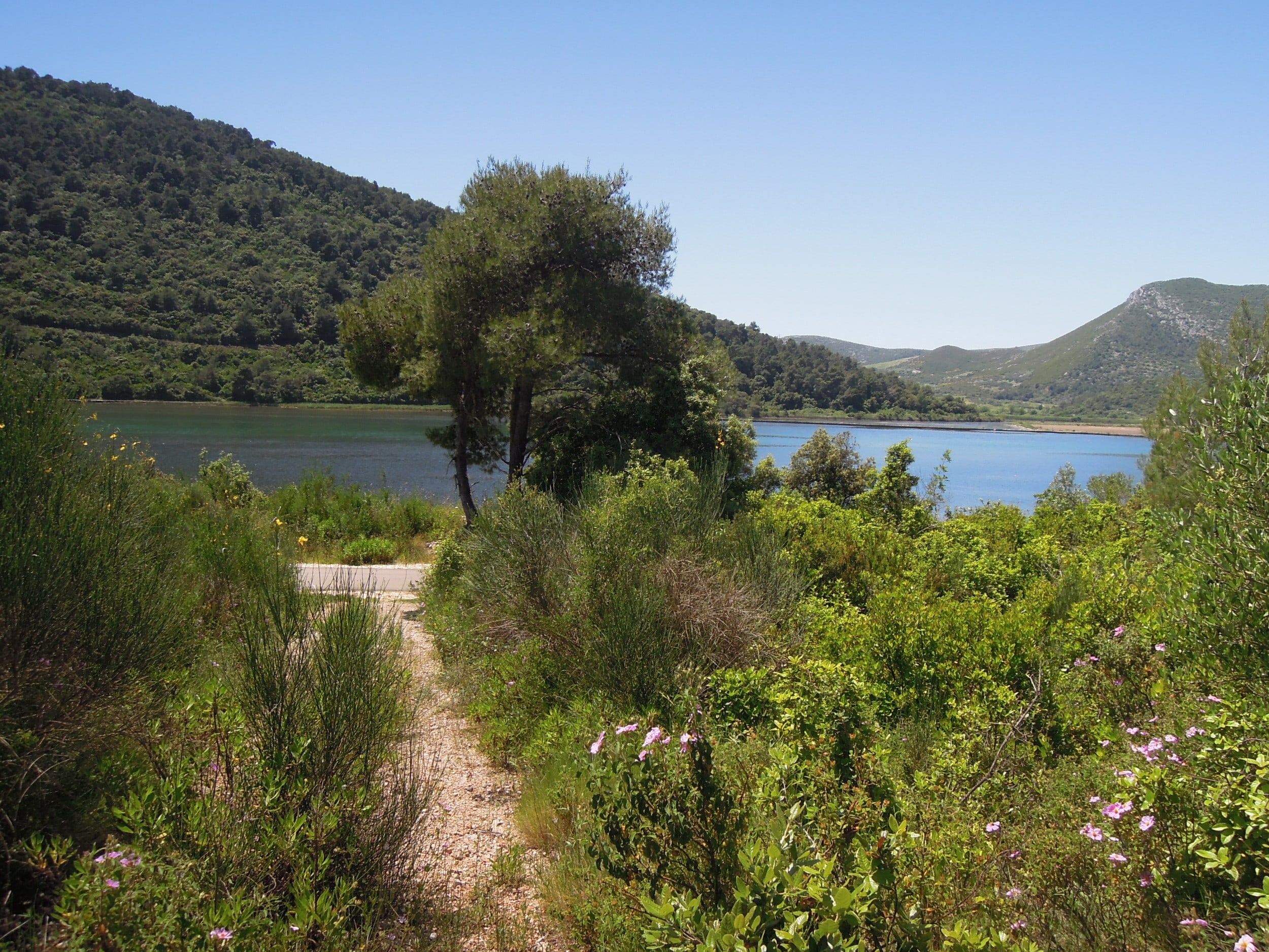 Land - Poluotok Pelješac 21857m2