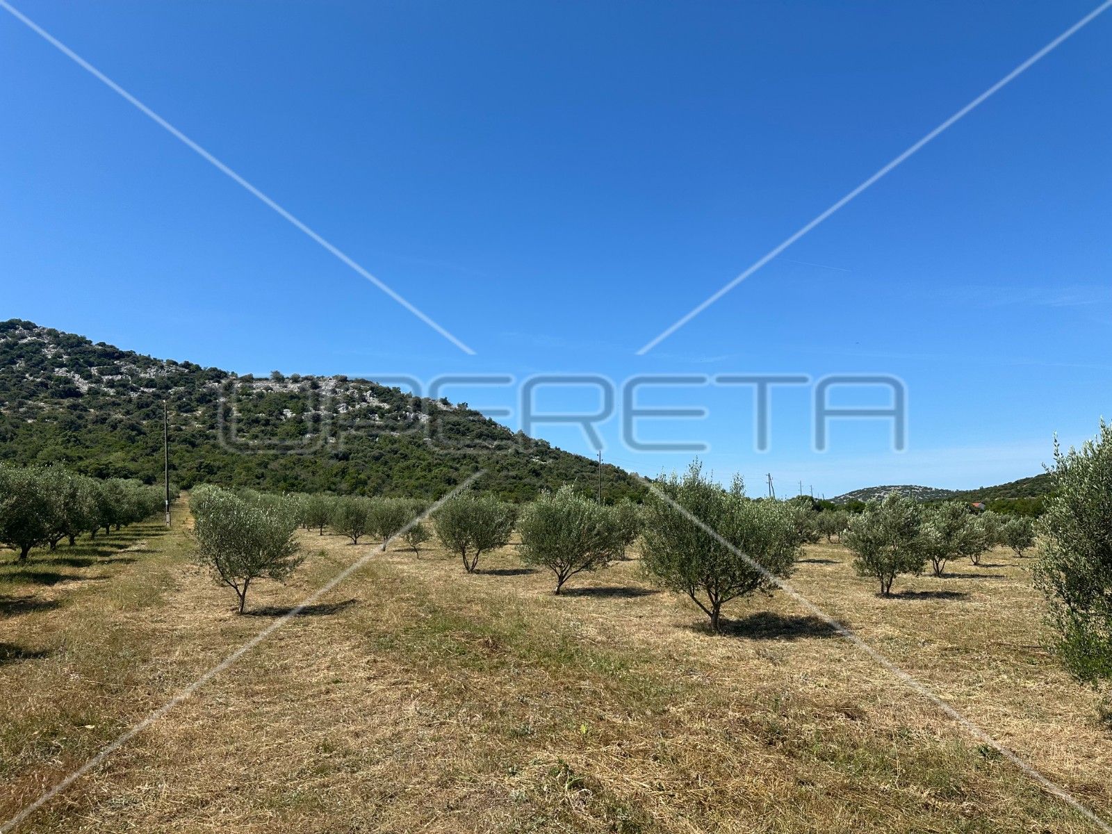 Land - Dazlina, Tisno, Tisno 45000m2