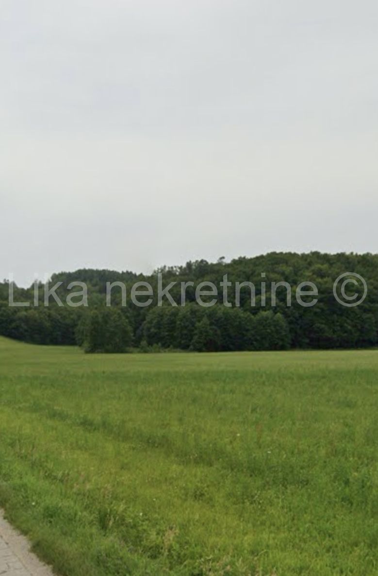 Zemljište - Cetingrad 71639m2