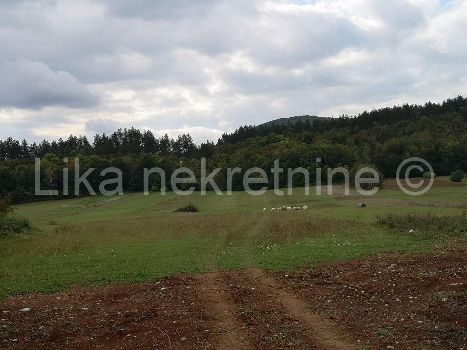 Zemljište - Perušić 14280m2