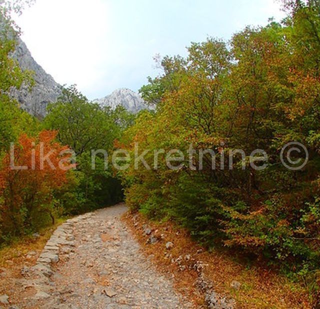 Land - Gospić - Okolica 30256m2