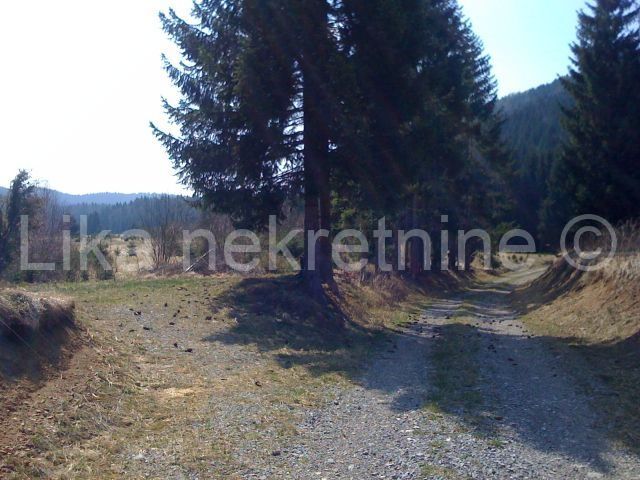 Land - Ravna gora 6165m2