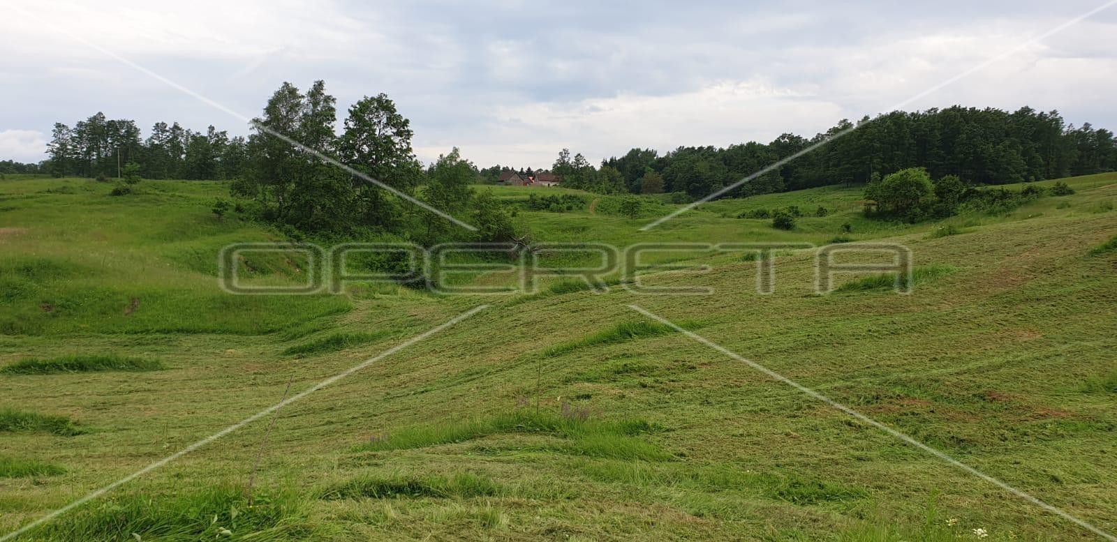 Zemljište - Velika Crkvina, Krnjak, Krnjak 185117m2