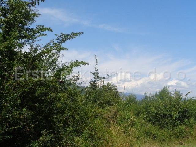 Land - Motovun 449681m2