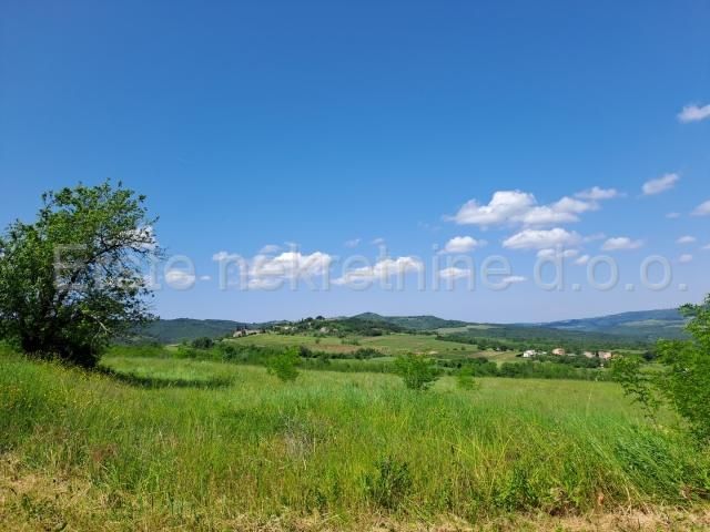 Land - Motovun 42581.87m2