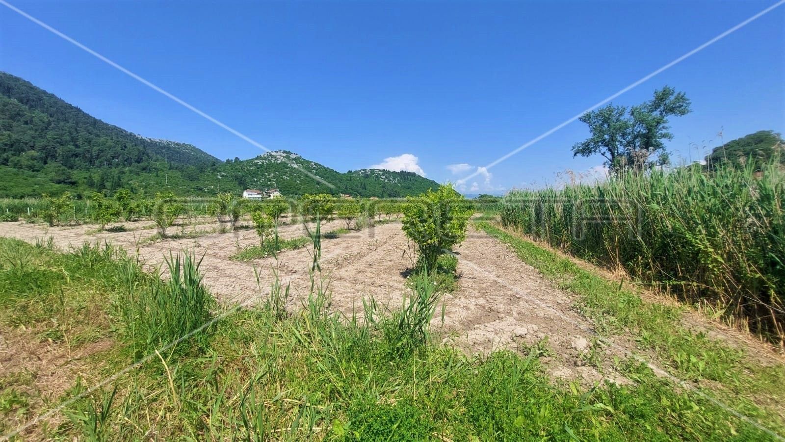 Land - Vlaka - Tuštevac, Slivno, Slivno 42253m2