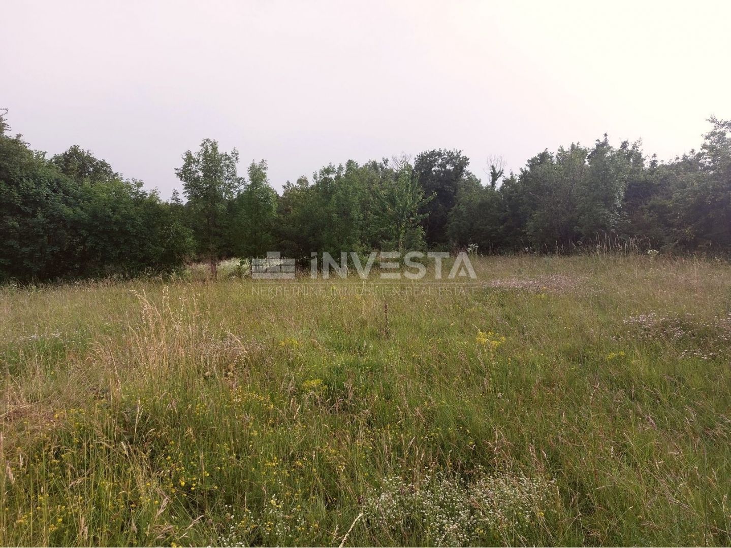 Land - Tinjan 4168m2