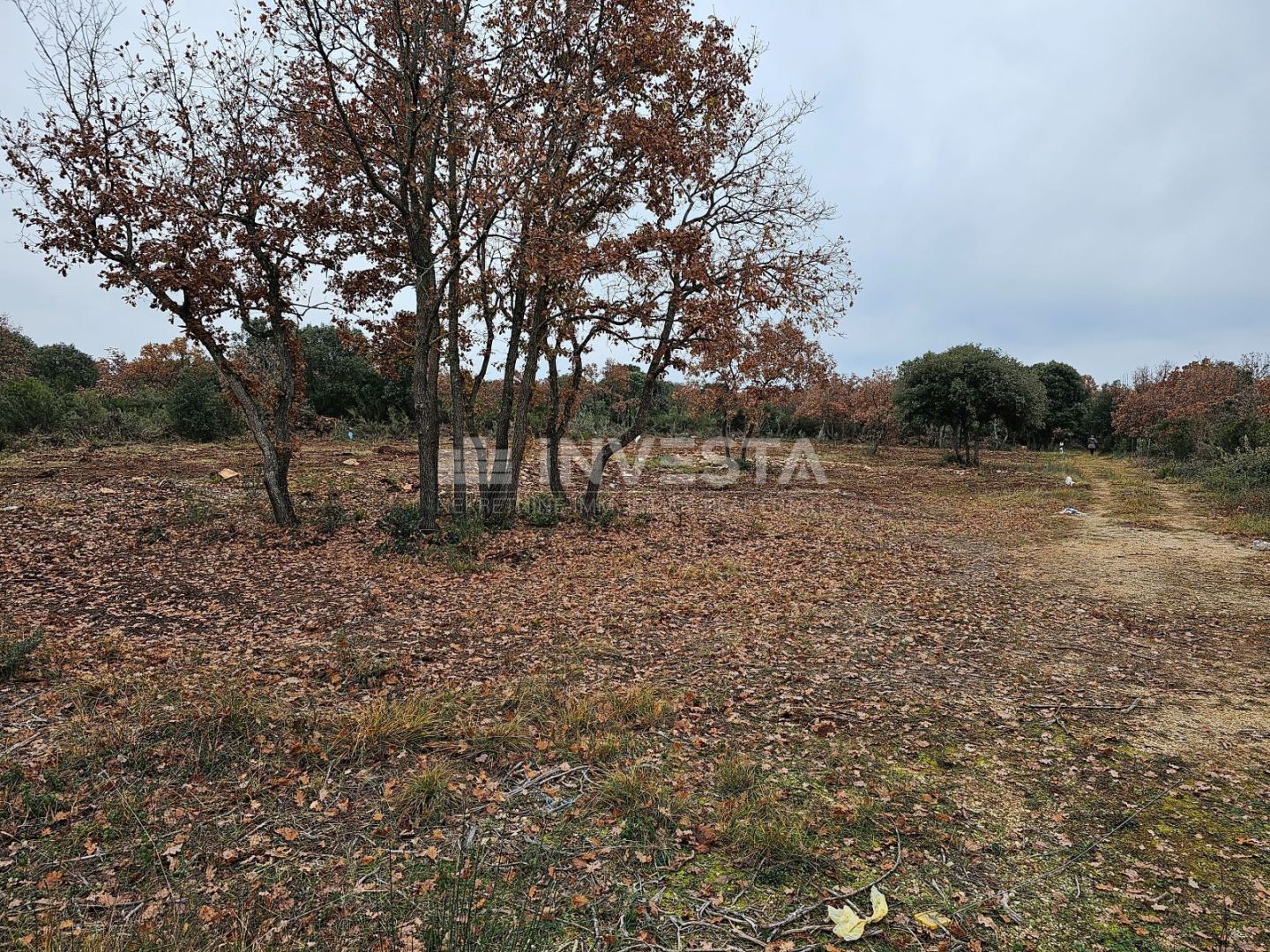 Land - Vodnjan 550m2