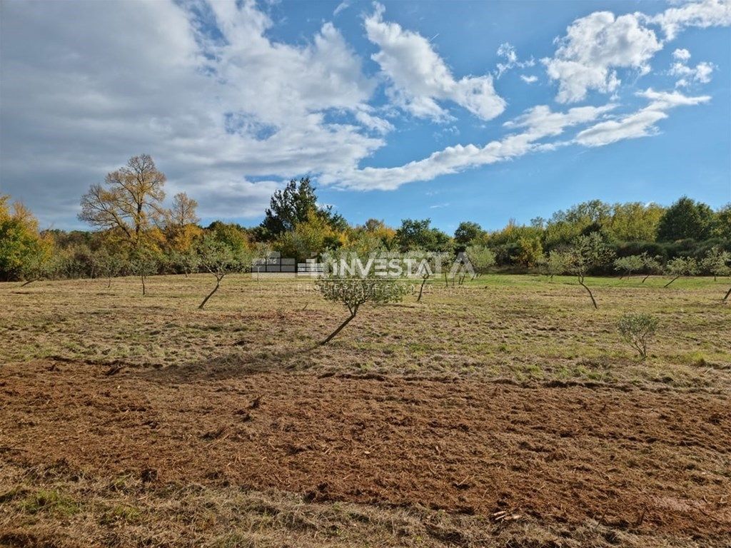 Zemljište - Sveti Lovreč 13301m2