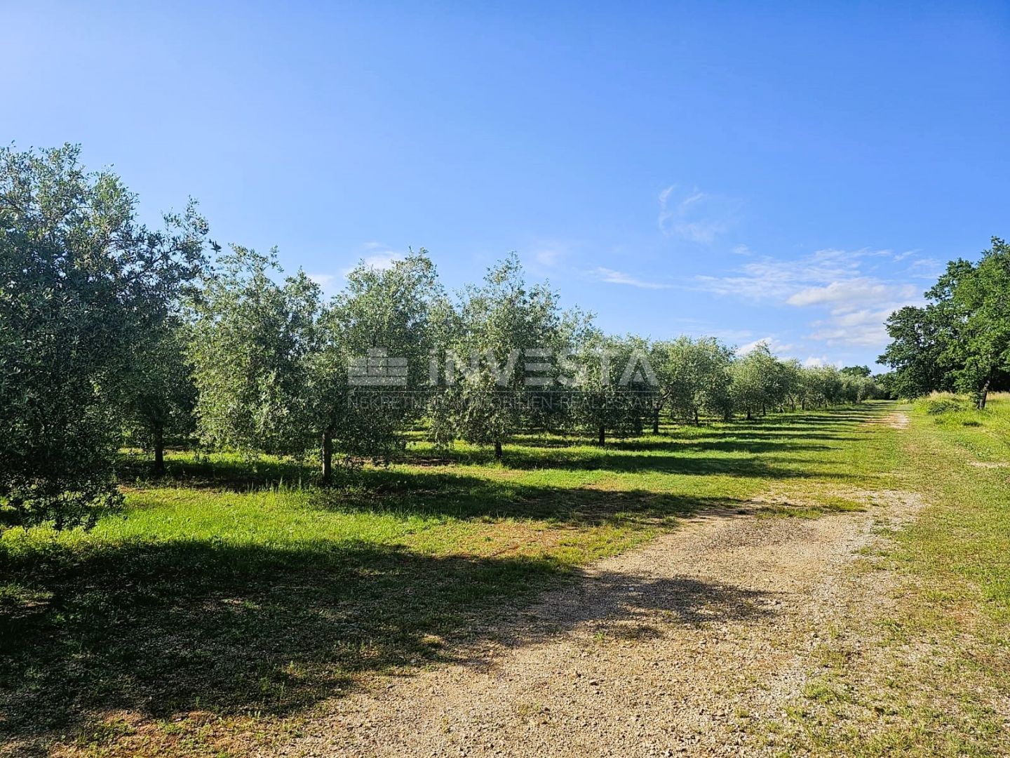 Land - Pula 35400m2