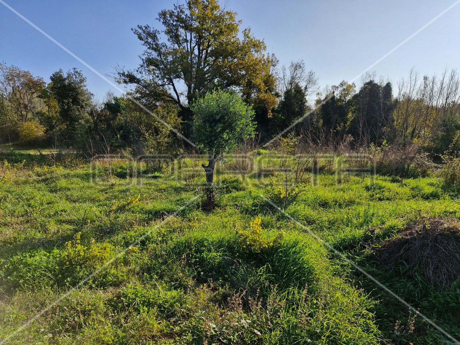 Zemljište - Šišan, Ližnjan, Ližnjan 400m2