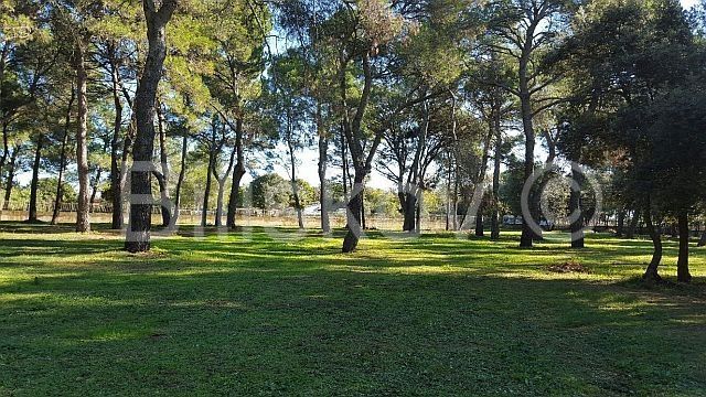 Land - Rovinj 12058m2