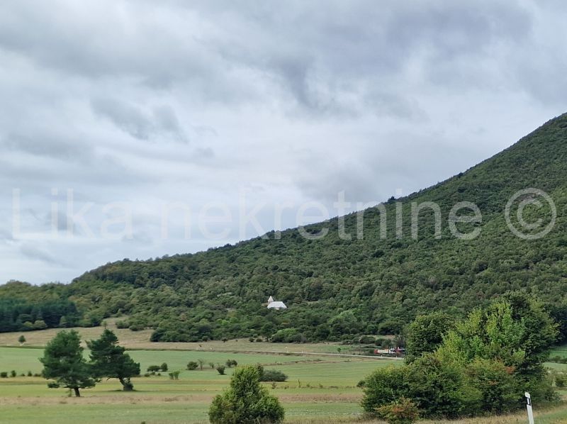 Land - Rakovica 5027m2