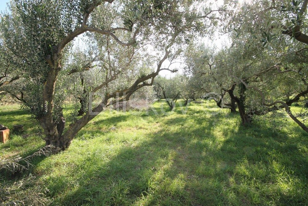 Land - Kaštela 873m2