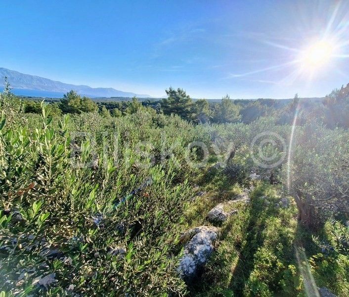 Land - Supetar 10970m2