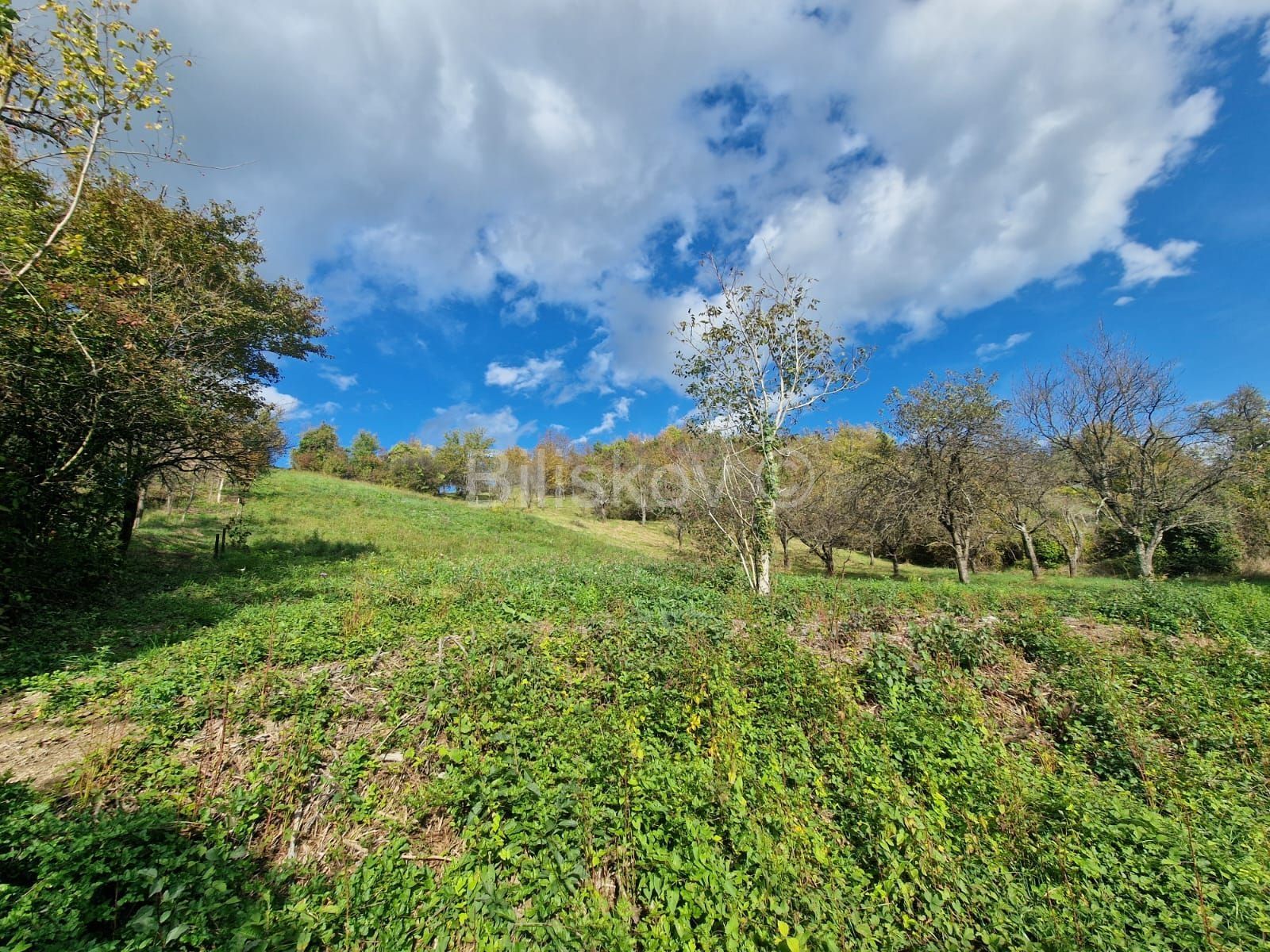 Land - Čučerje, Zagreb 1354m2