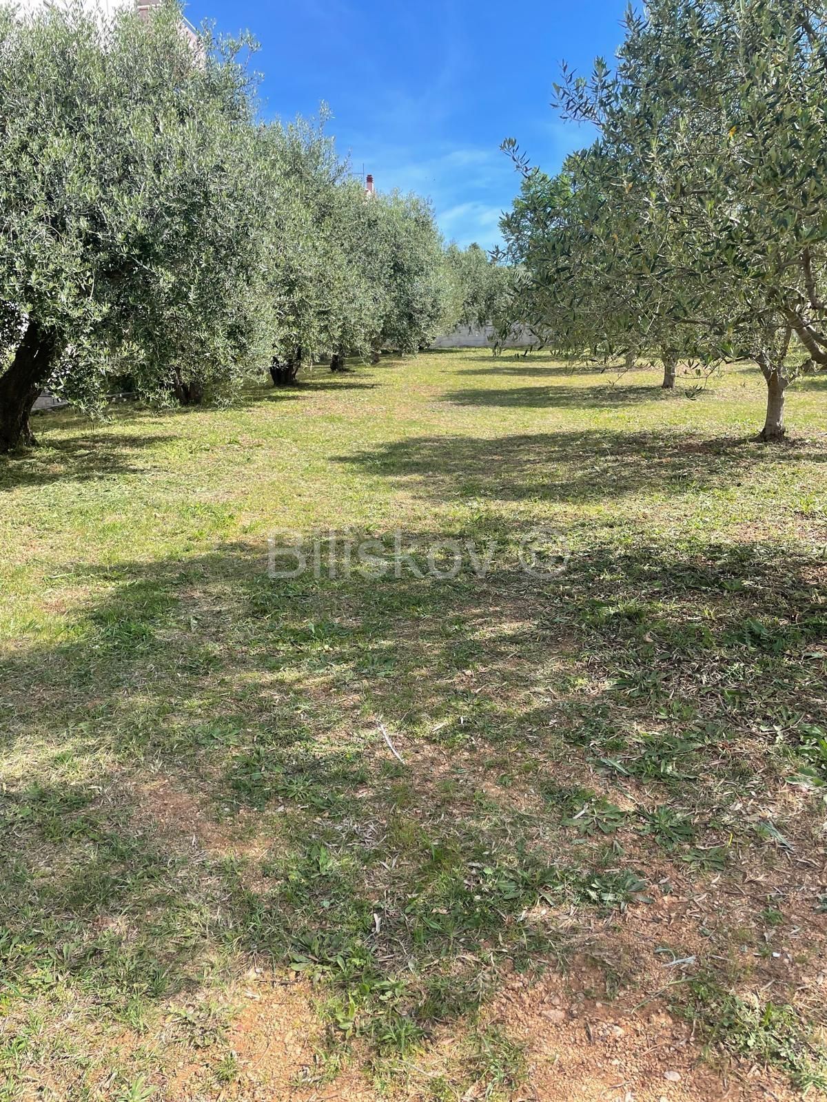 Land - Biograd na Moru, 1380m2